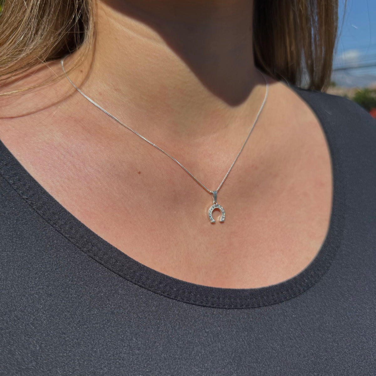 Collar Herradura de la Suerte Plata 925